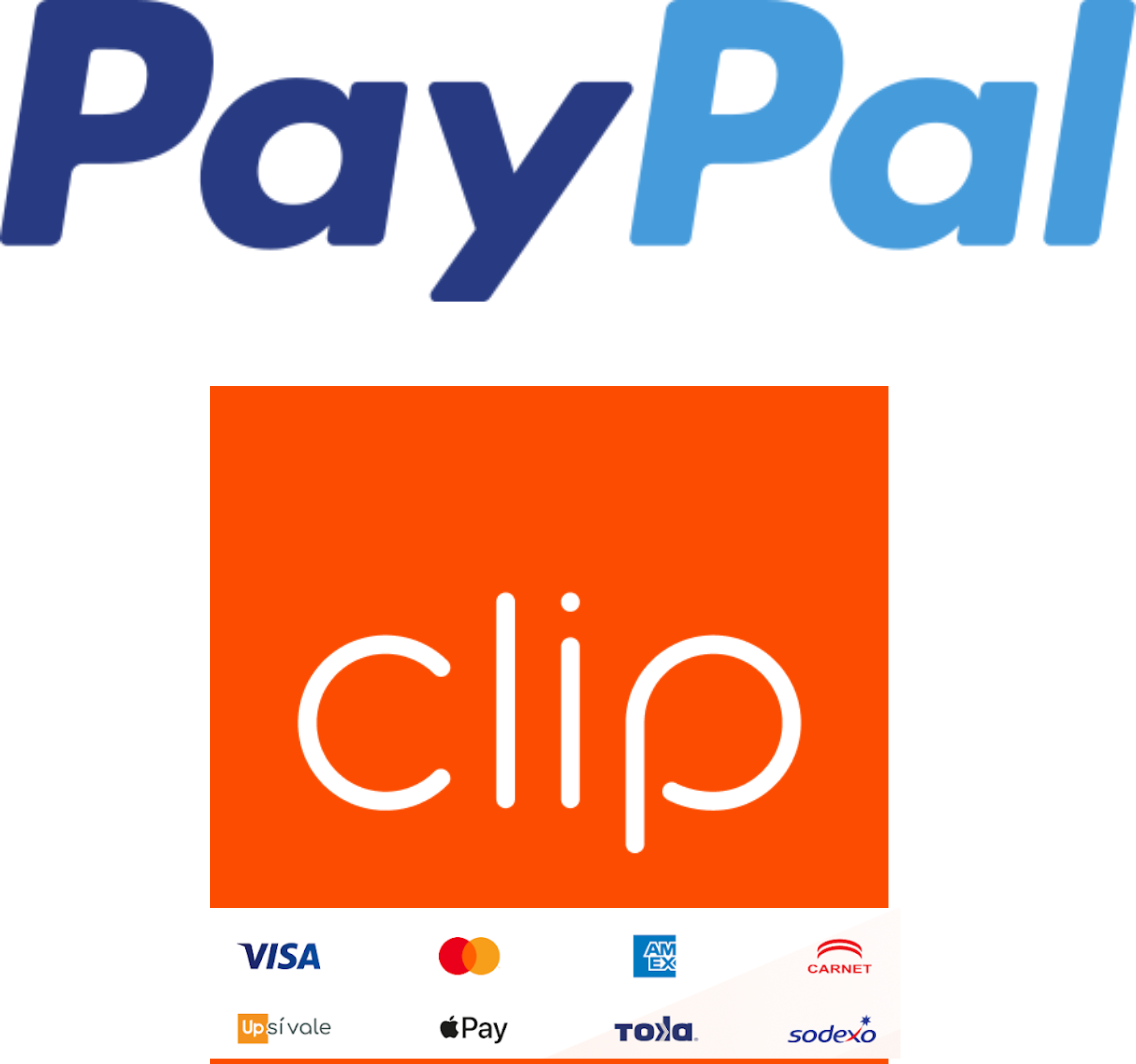 pago taxi san miguel de allende